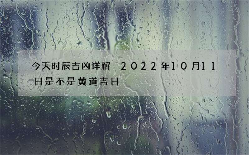 今天时辰吉凶详解 2022年10月11日是不是黄道吉日